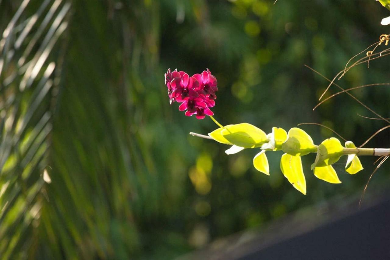 Baan Heaven / Patong Beach Pool Villa Sleeps Up To 15 Bagian luar foto